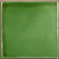 M CHLOROPHYLE